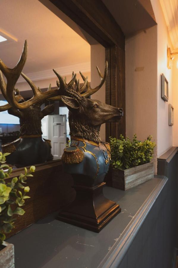 The Stag Hotel And Mailmans Arms Lyndhurst Esterno foto