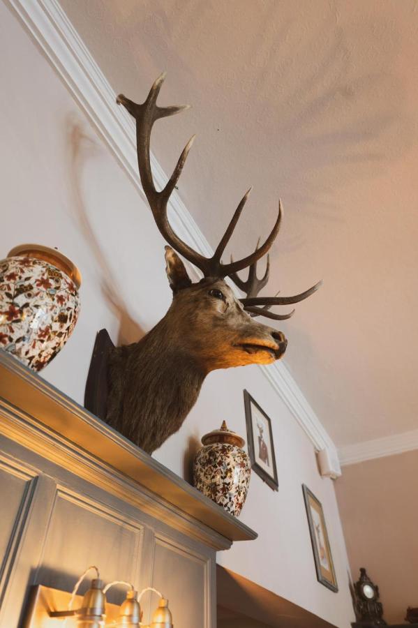 The Stag Hotel And Mailmans Arms Lyndhurst Esterno foto